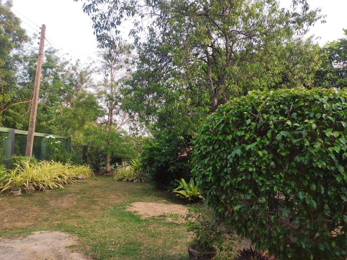 Bird House Homestays Tangalle Exterior foto