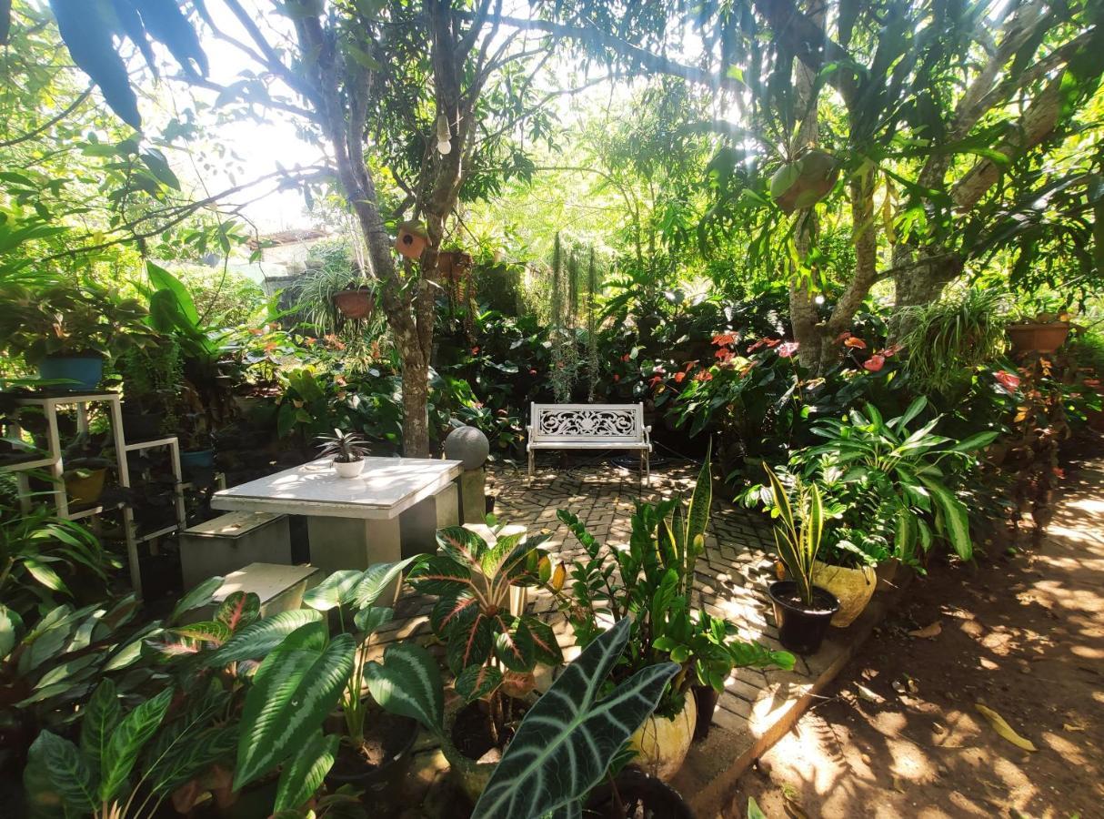 Bird House Homestays Tangalle Exterior foto